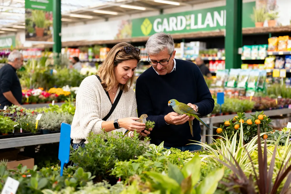 Un couple examine des plantes avec un perroquet dans une jardinerie bien approvisionnée.